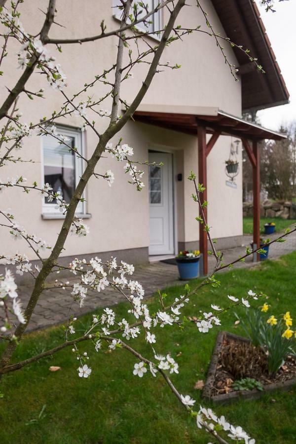 Am Zirkelstein 38 B Schona