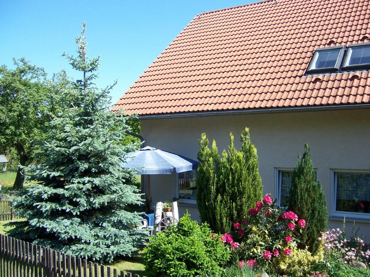 Apartment Am Zirkelstein 38 B
